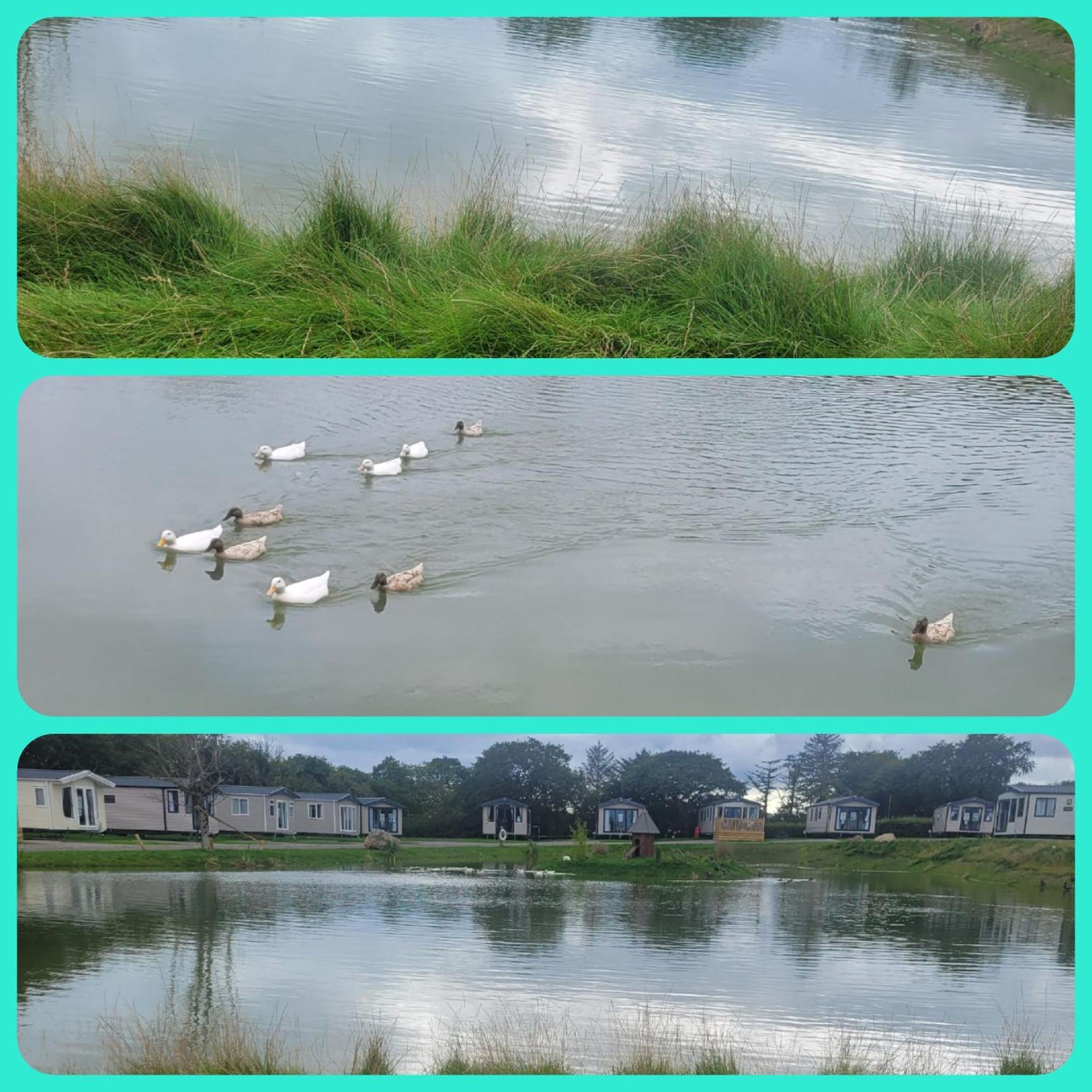 Beautiful 2 Bedroom Caravan, Holiday Park Tenby Saint Florence Bagian luar foto