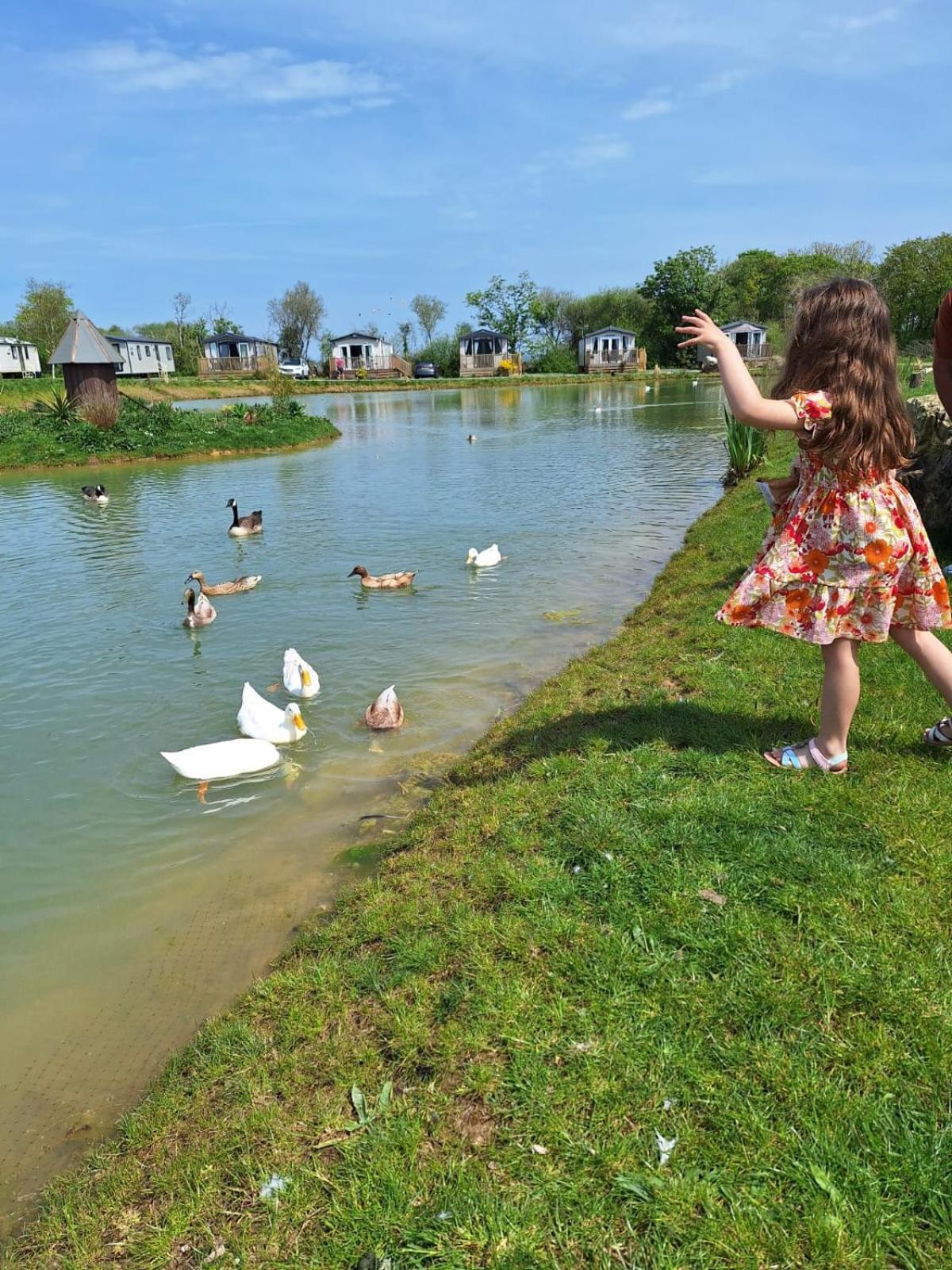 Beautiful 2 Bedroom Caravan, Holiday Park Tenby Saint Florence Bagian luar foto